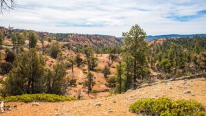 Butch Cassidy Trail in Price UT